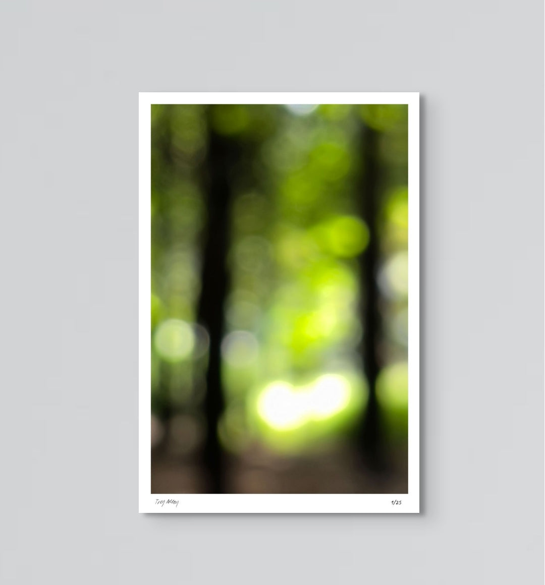 fine art print paper